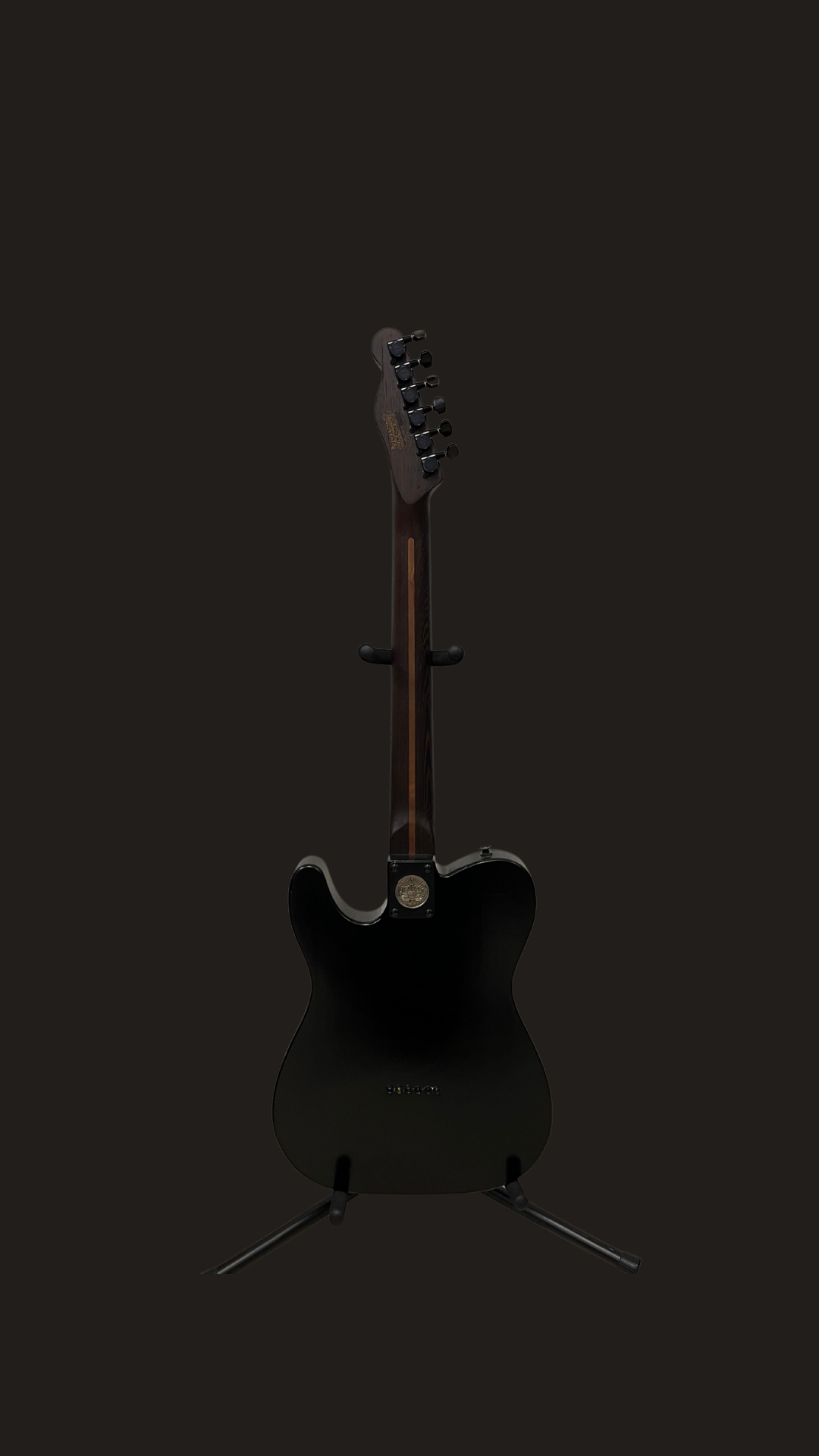 Partcaster telecaster (used)