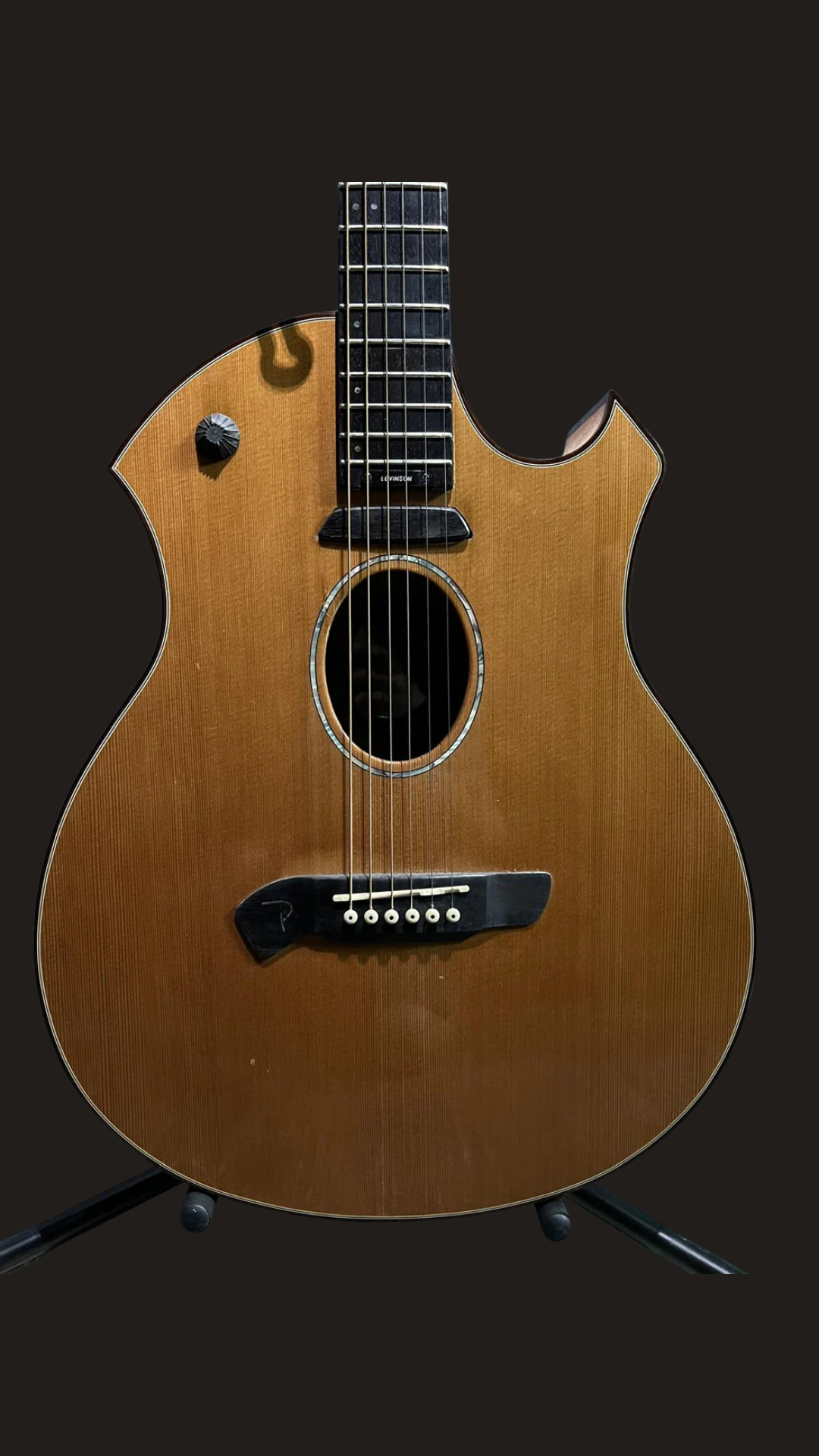Parker P8EN acoustic/electric (used)