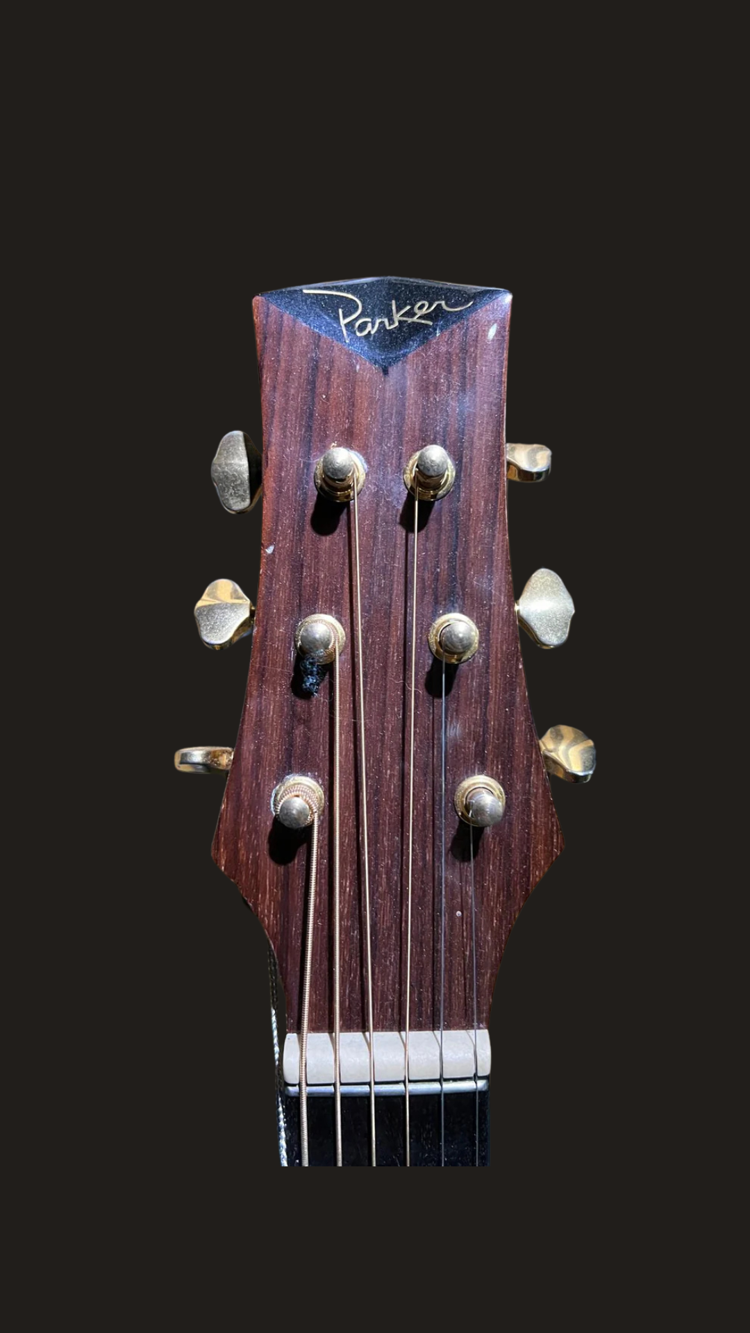 Parker P8EN acoustic/electric (used)