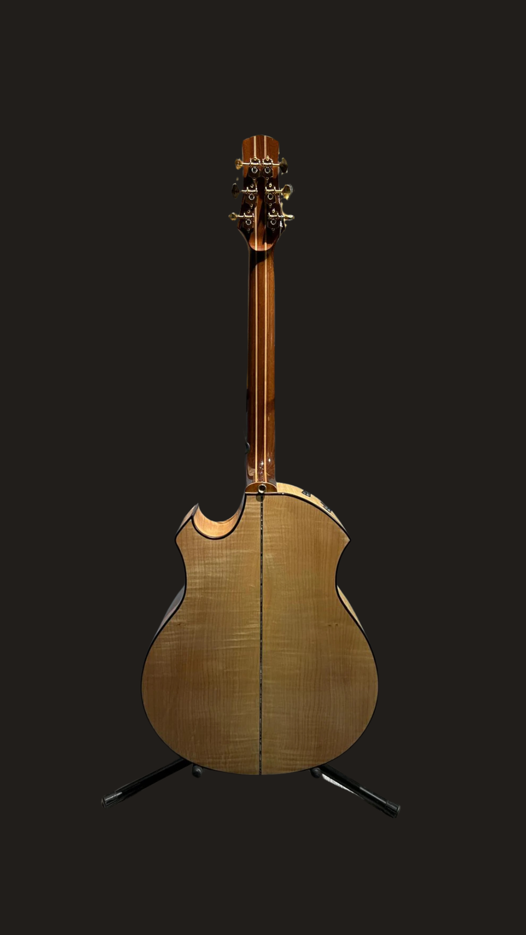Parker P8EN acoustic/electric (used)