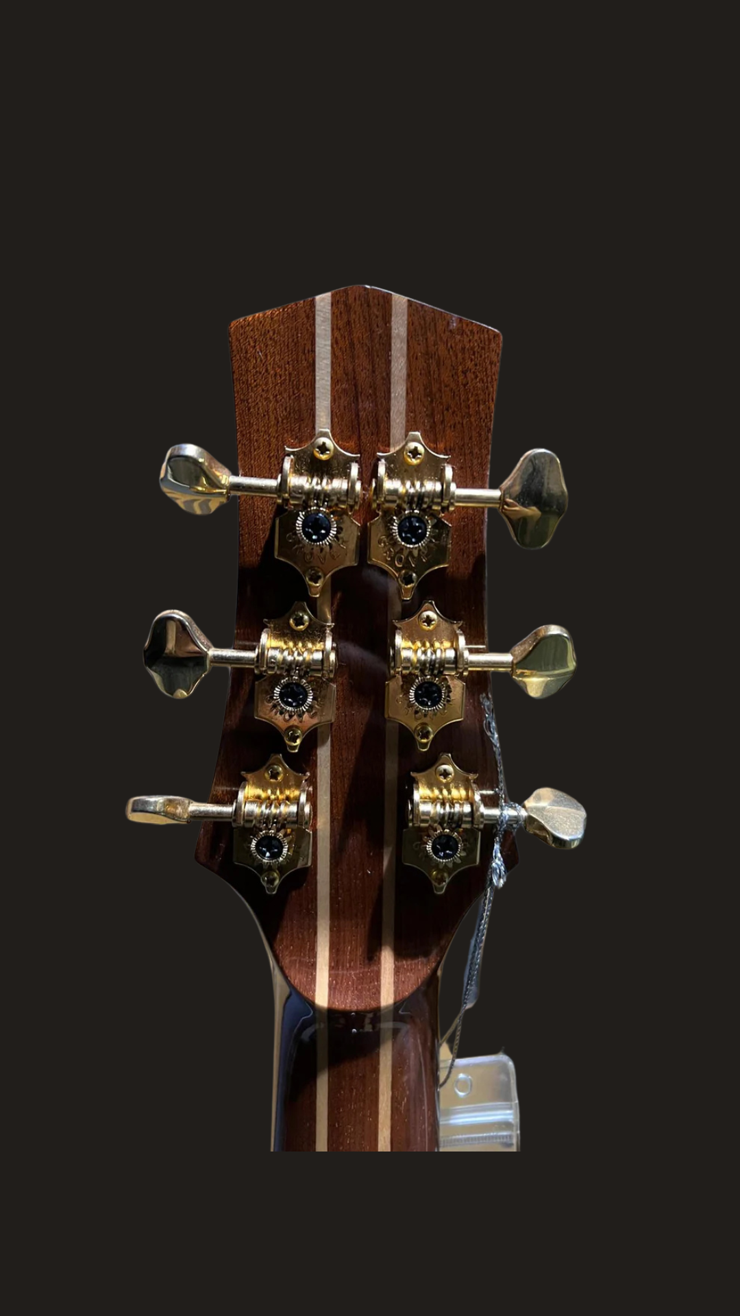 Parker P8EN acoustic/electric (used)