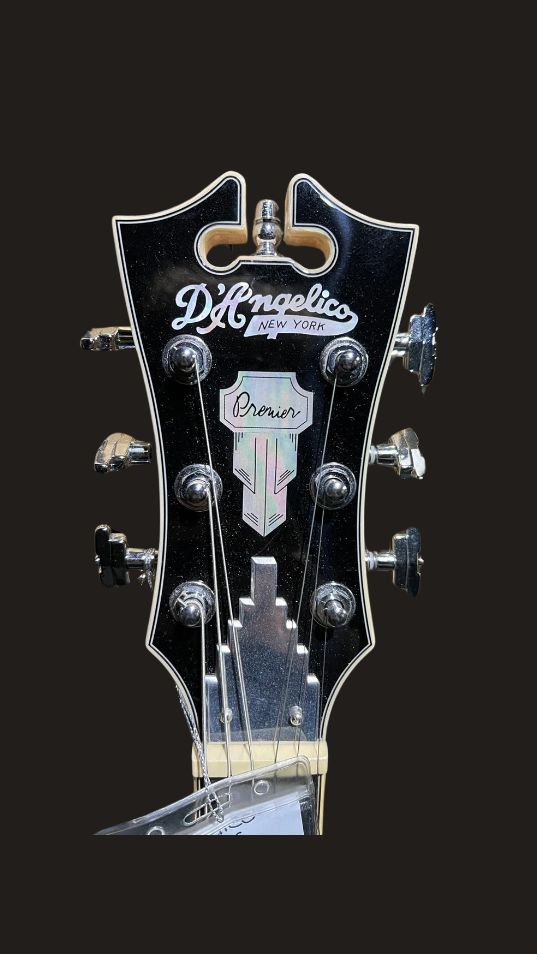 D'Angelico premier (used)