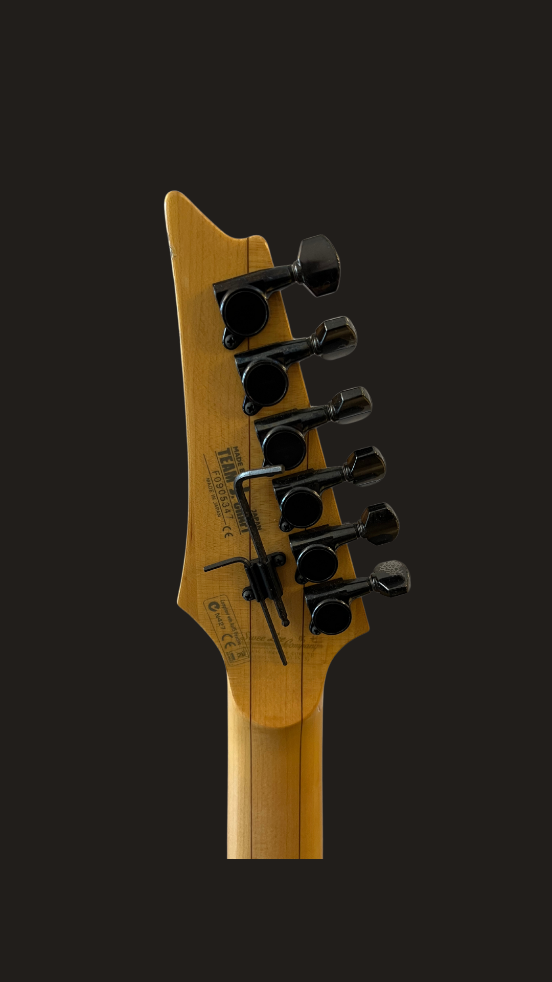 Ibanez j-custom rg-8570z (used)