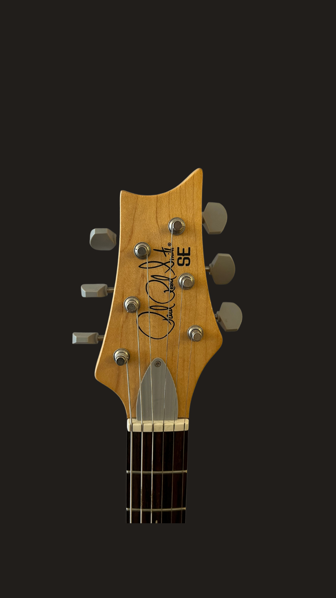PRS-SE silver sky (used)