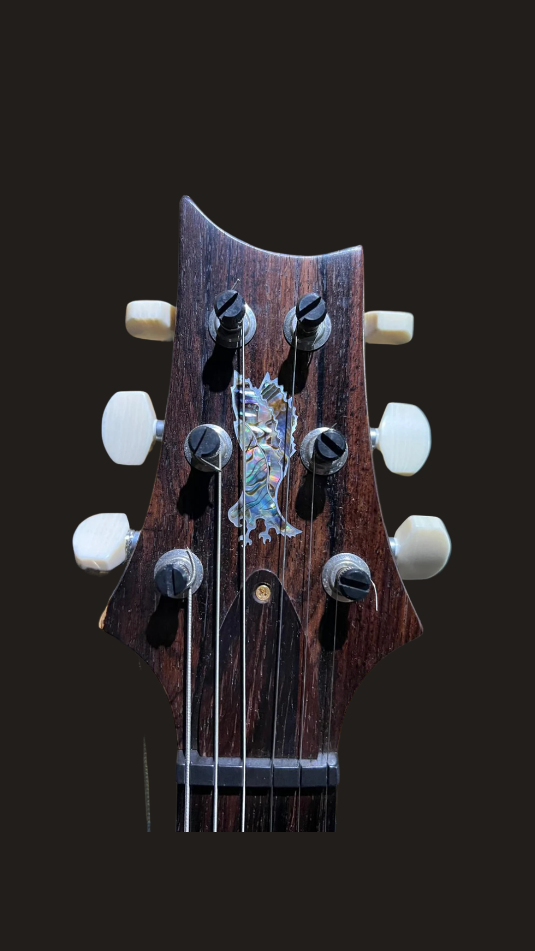 PRS Private stock custom 24 (used)