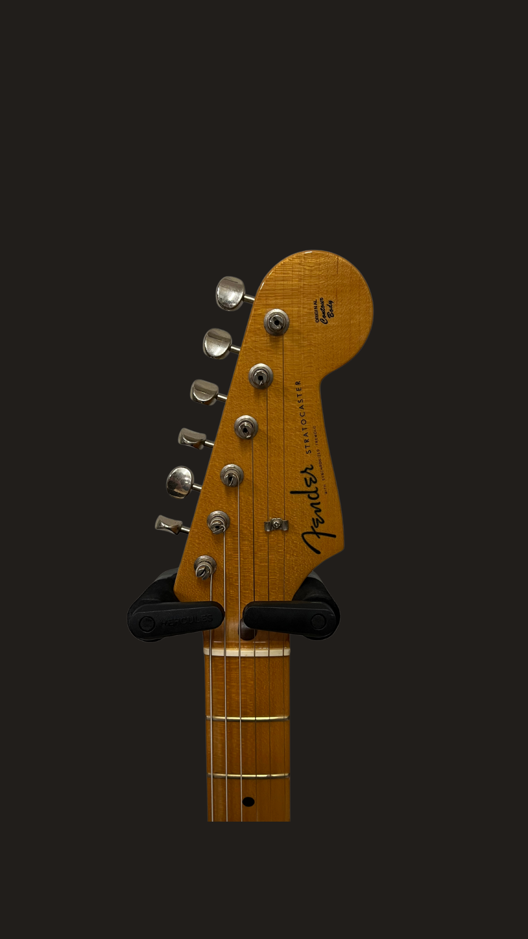 Fender custom shop masterbuilt salute (used)