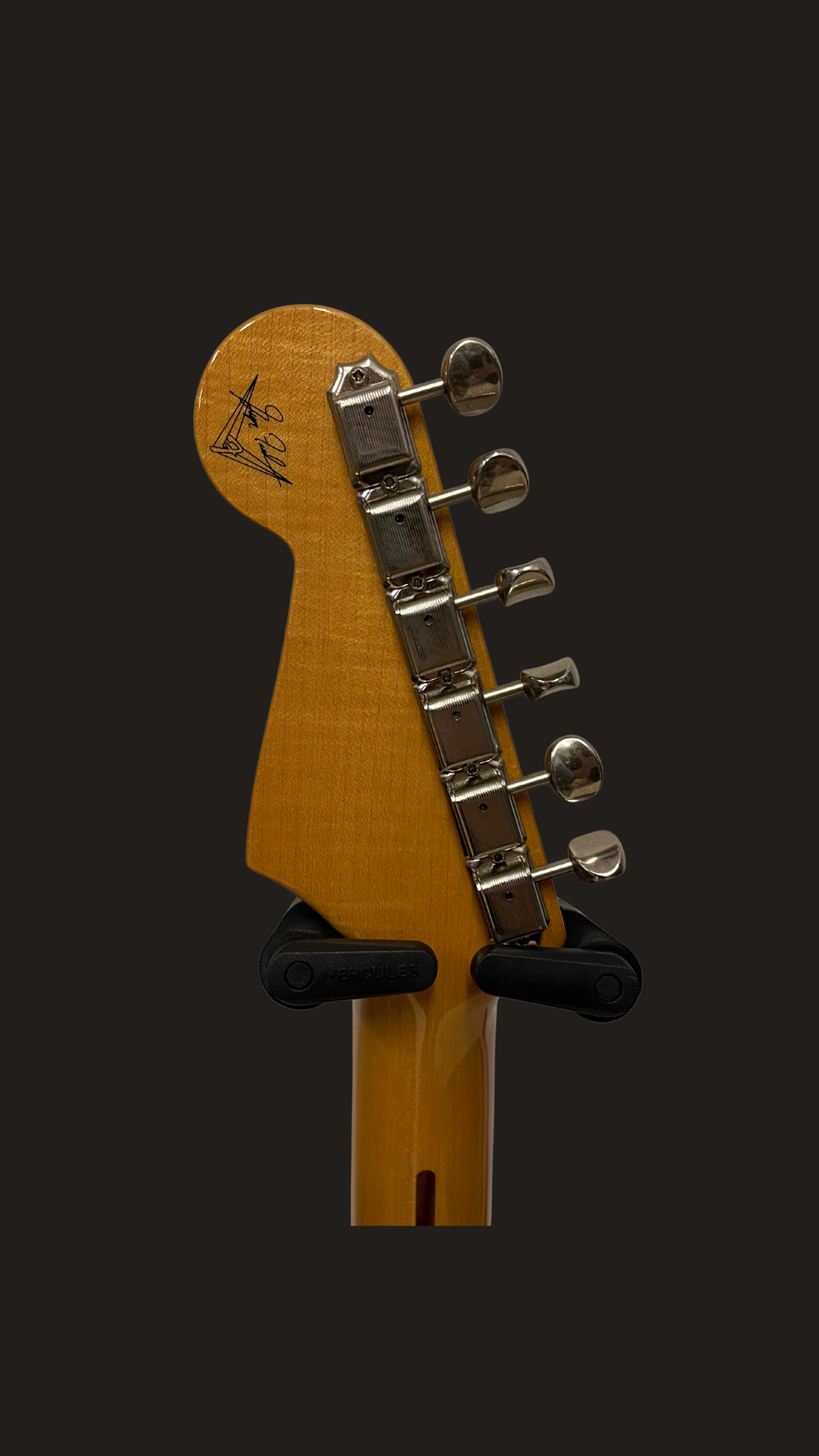 Fender custom shop masterbuilt salute (used)
