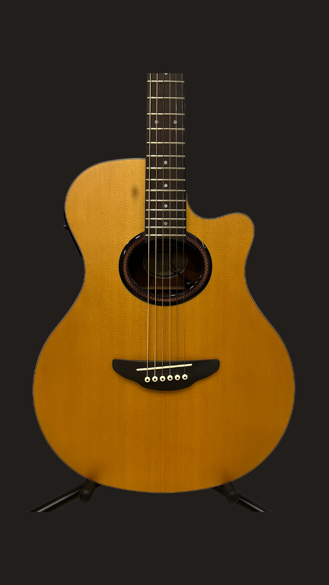 Yamaha APX-3M (used)