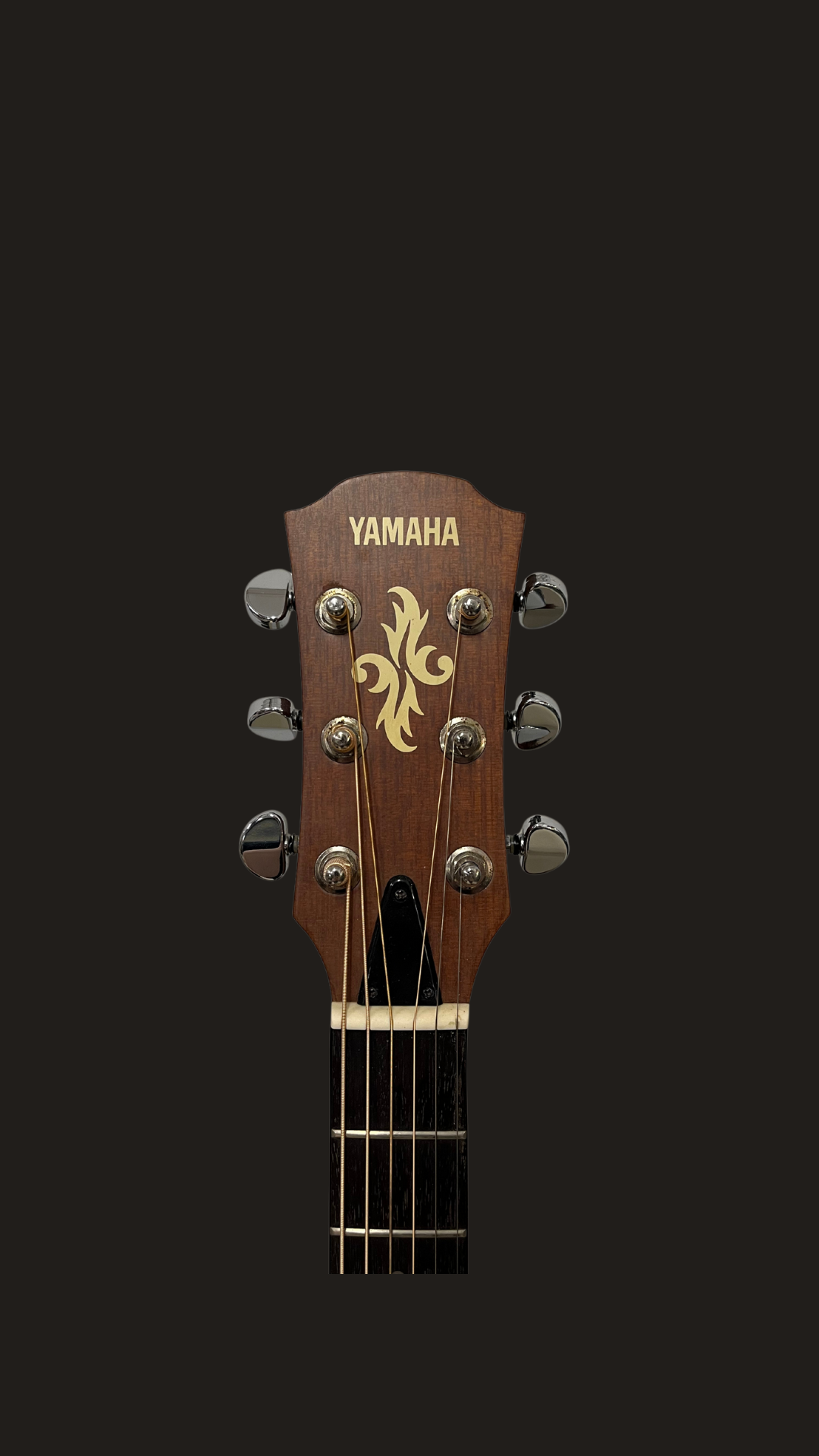 Yamaha APX-3M (used)