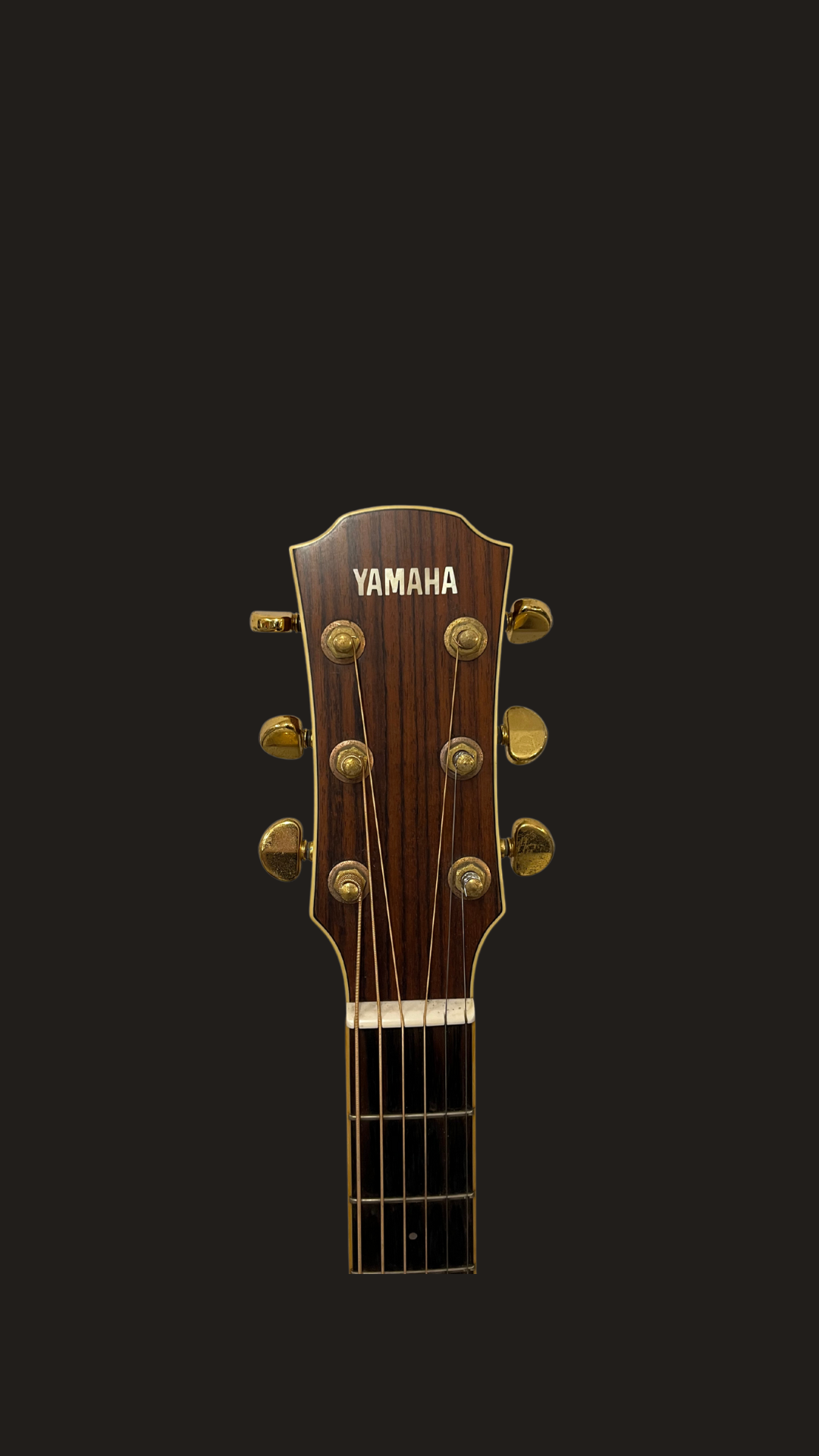 Yamaha LJ6 acoustic autographed (used)