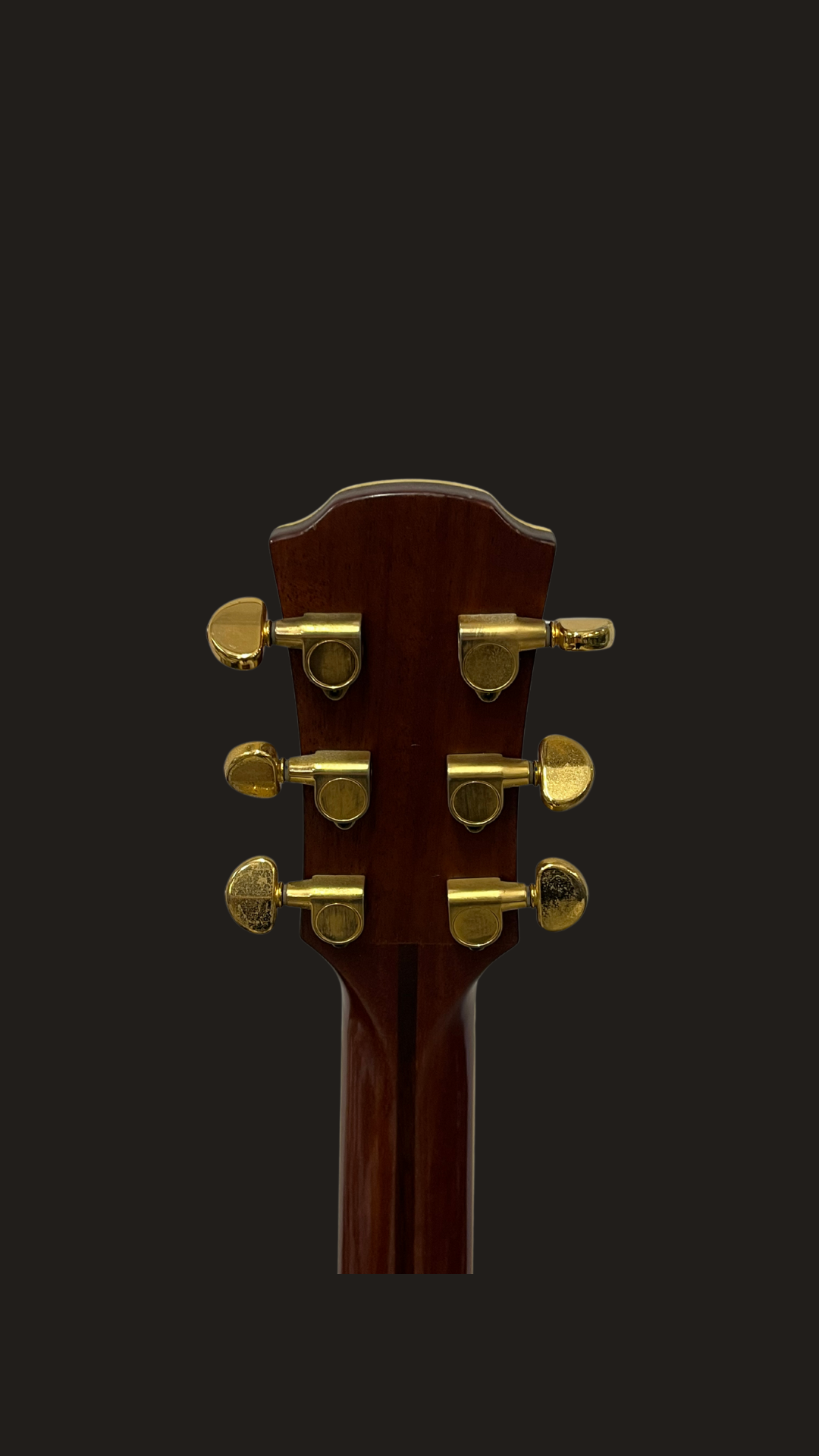 Yamaha LJ6 acoustic autographed (used)