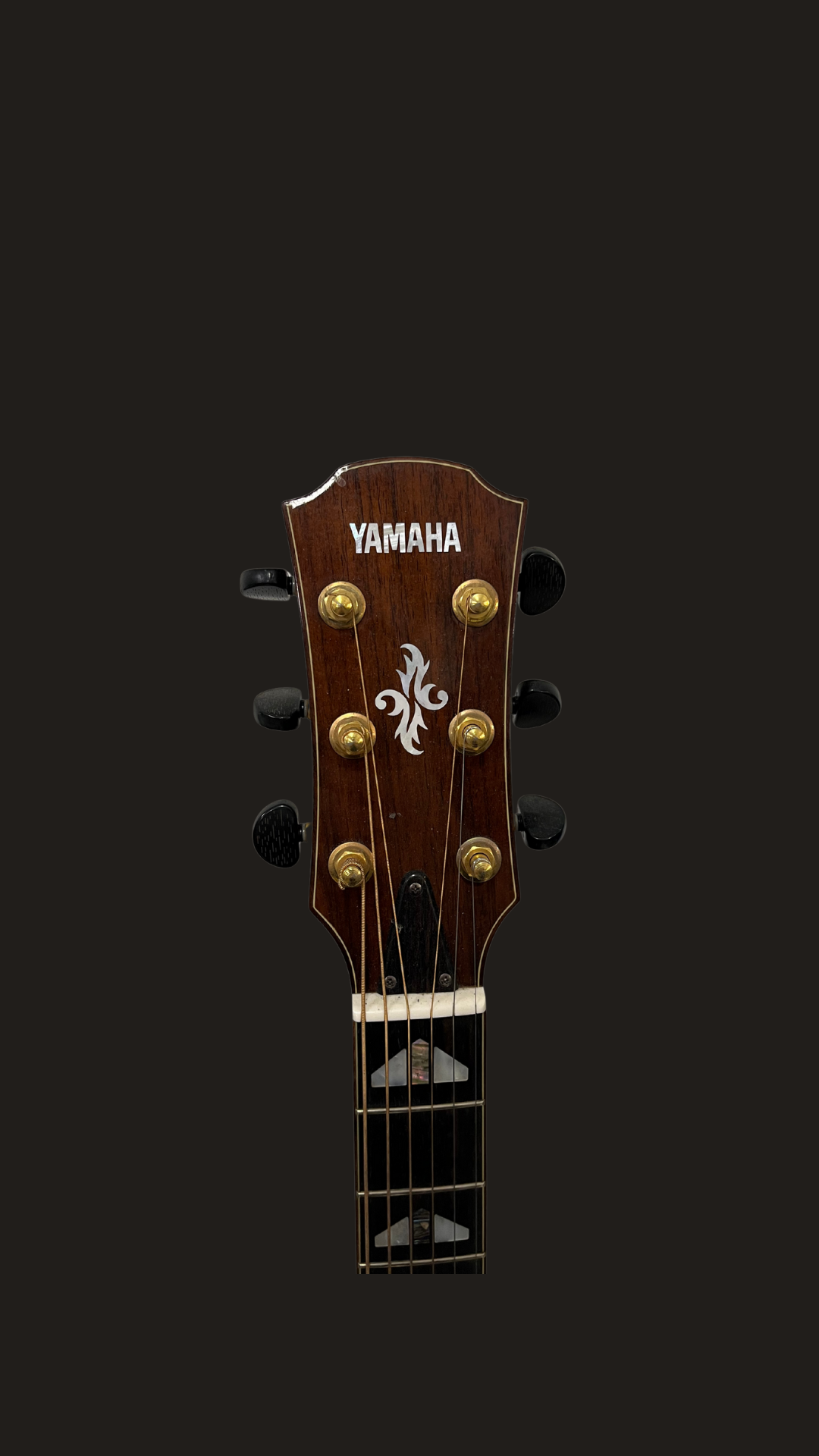Yamaha APX 1200 electric acoustic natural finish (used)