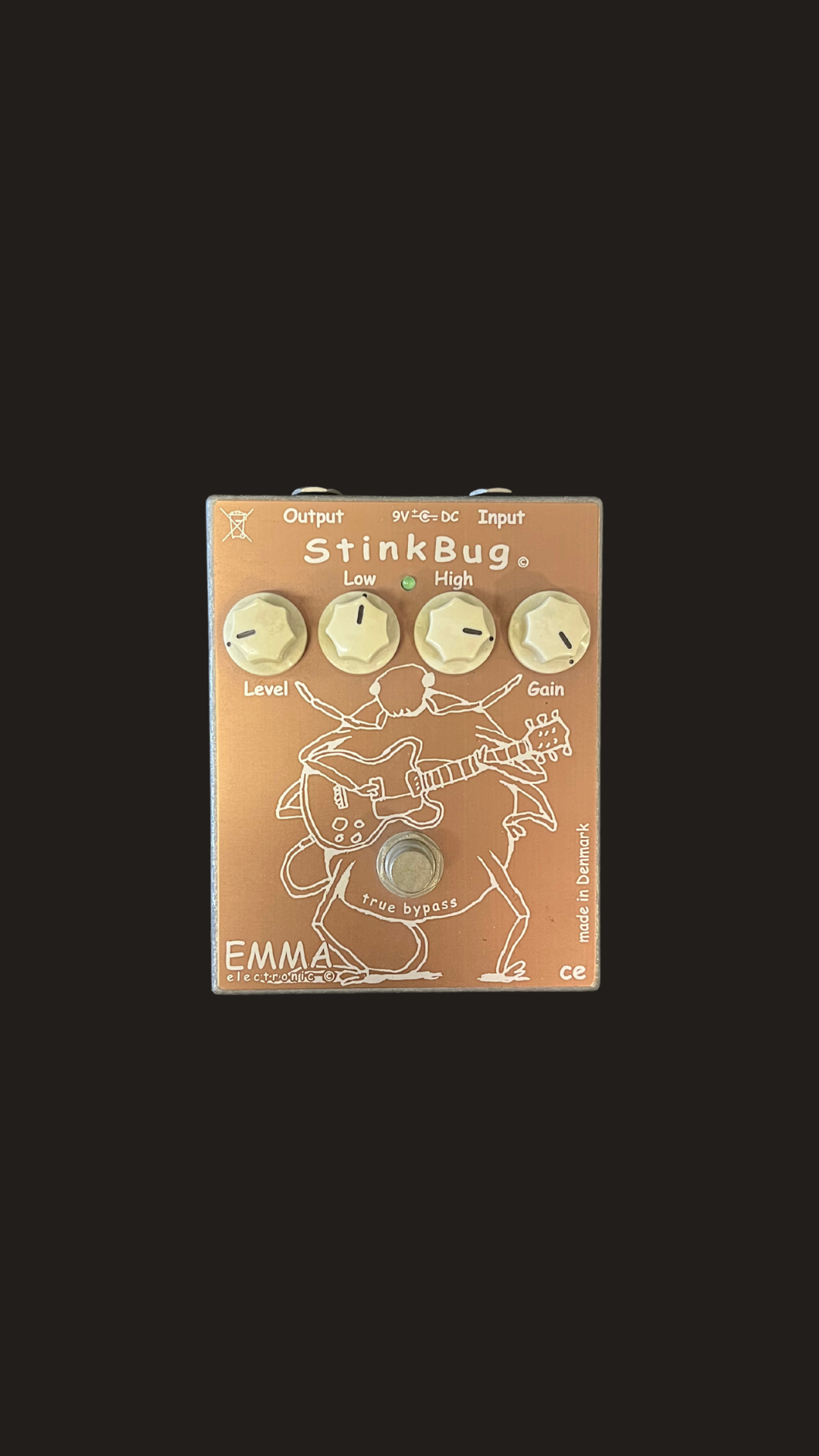 Emma Electronic Stinkbug