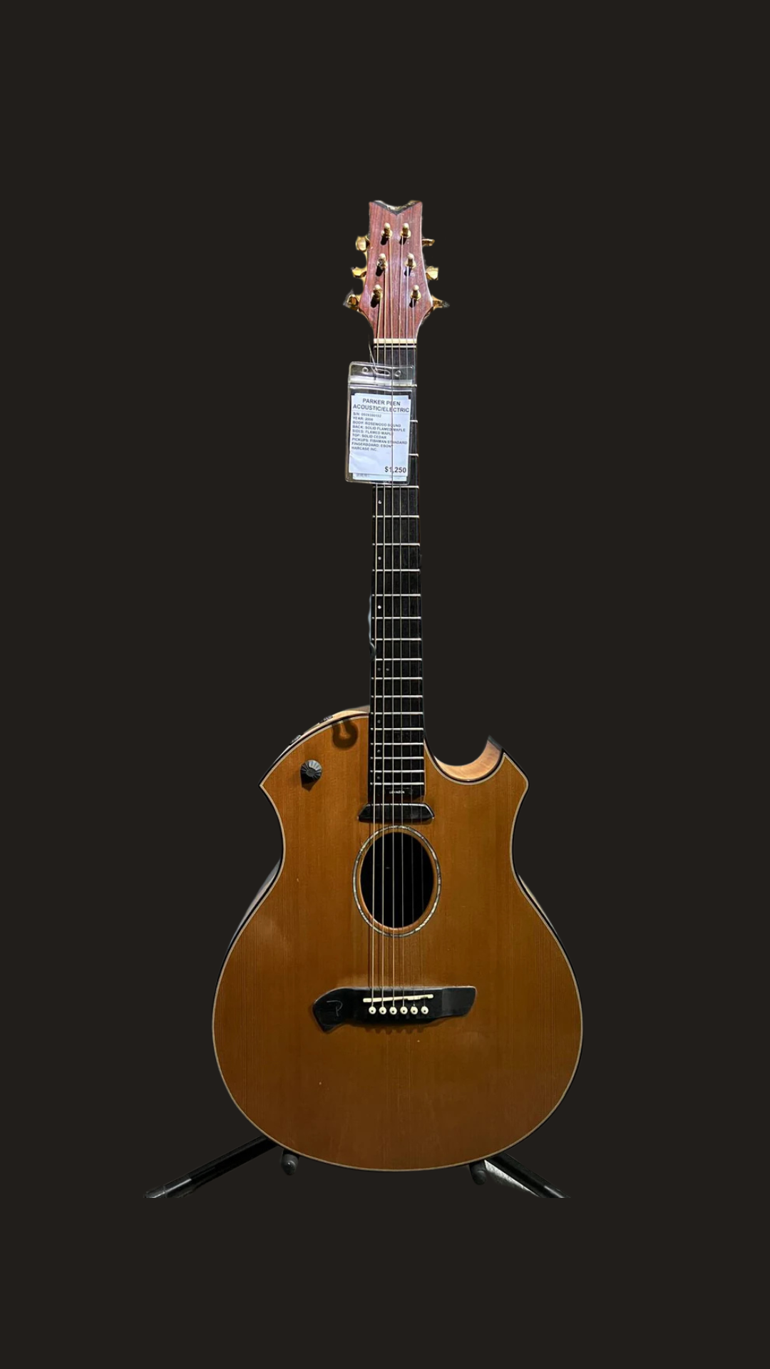 Parker P8EN acoustic/electric (used)