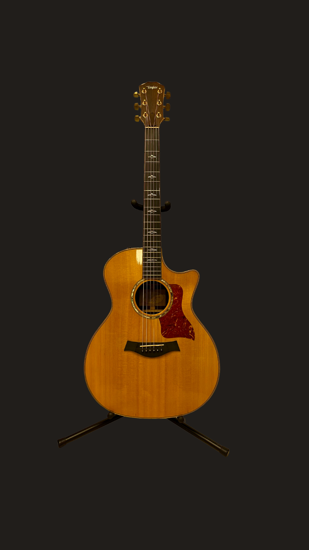 Taylor 814 CE 2010 (used)