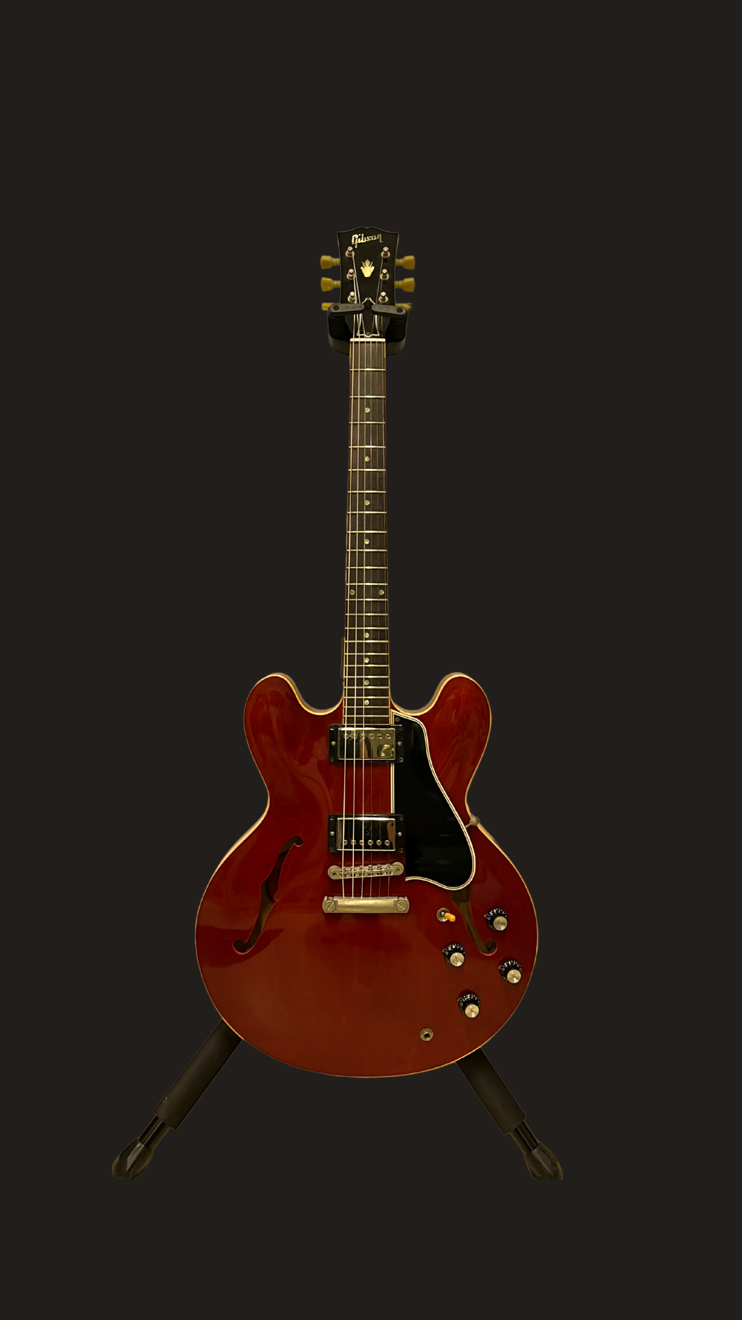 Gibson c.s es-335. 60's dot (used)