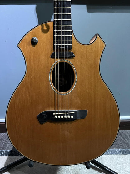 Parker P8EN acoustic/electric (used)