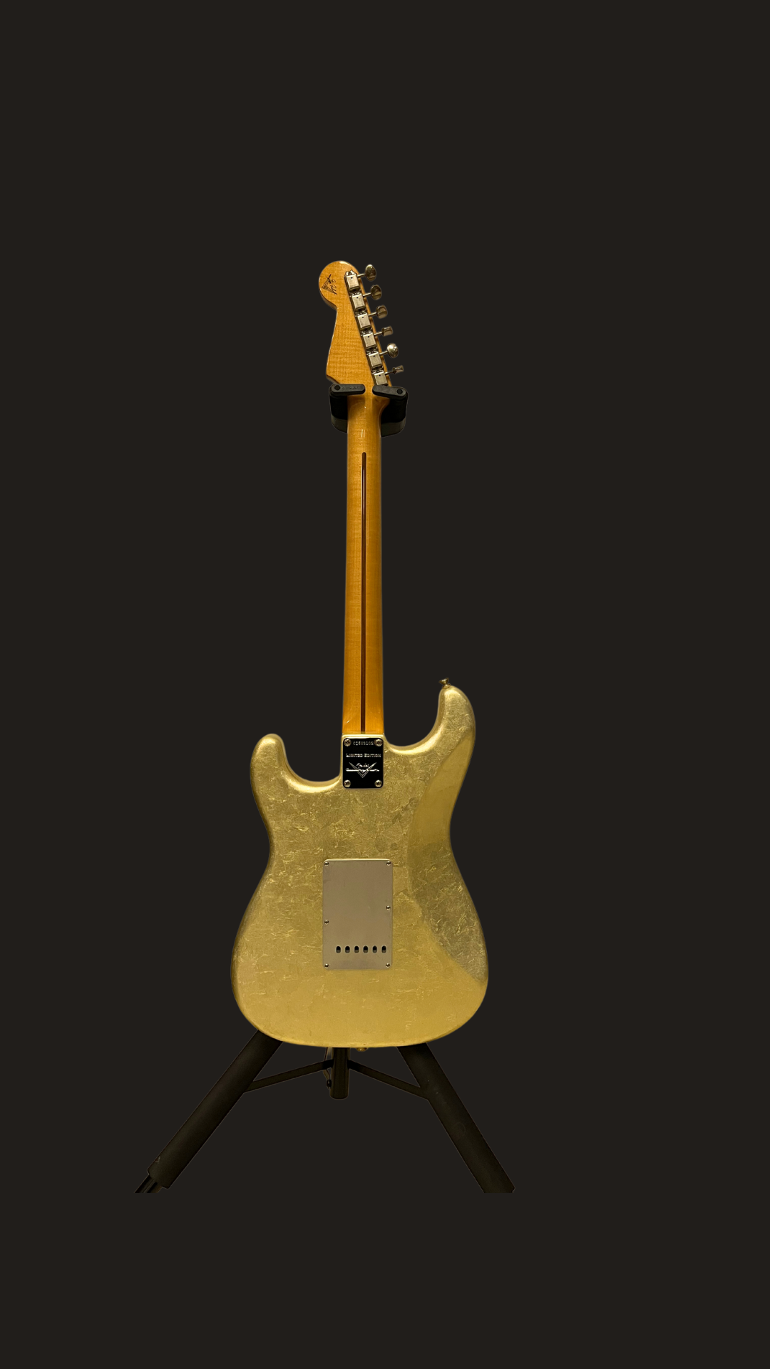 Fender custom shop masterbuilt salute (used)