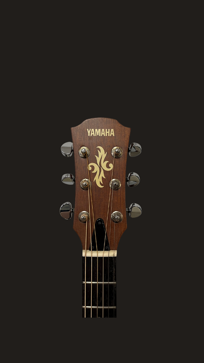Yamaha APX-3M (used)