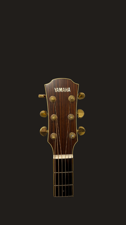 Yamaha LJ6 acoustic autographed (used)