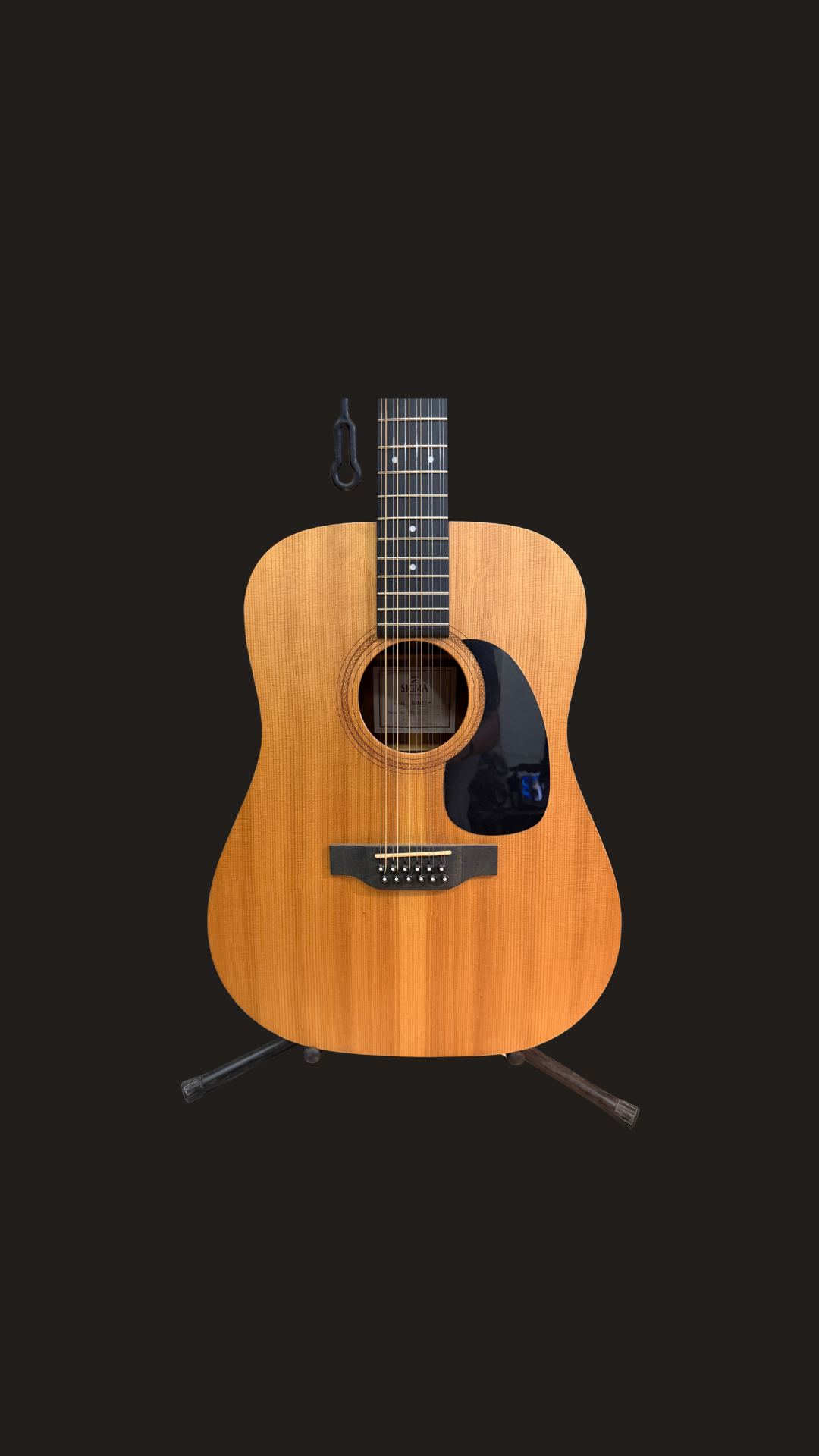 Sigma DM12E+ 12 Strings Electro Acoustic Guitar
