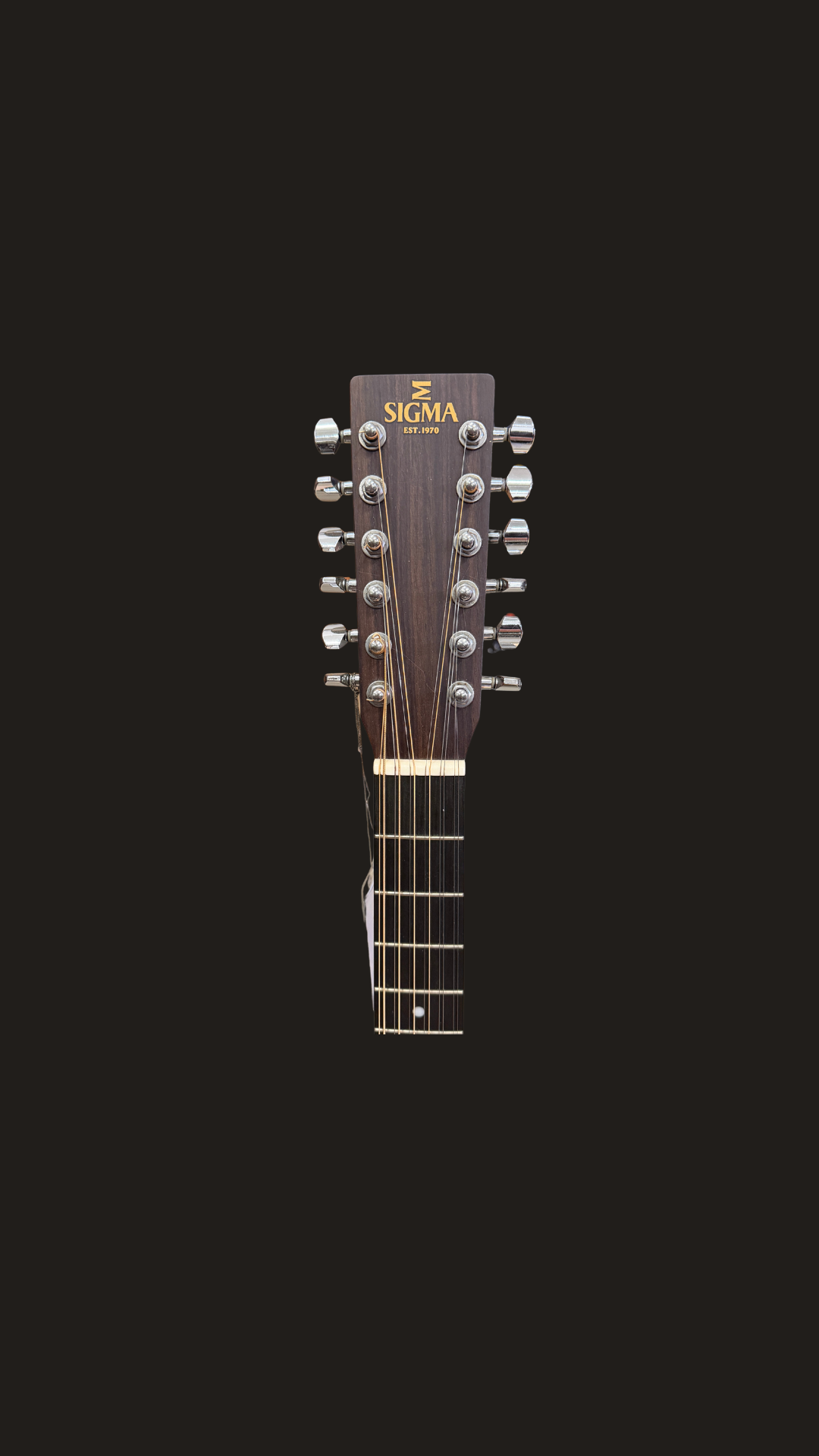 Sigma DM12E+ 12 Strings Electro Acoustic Guitar