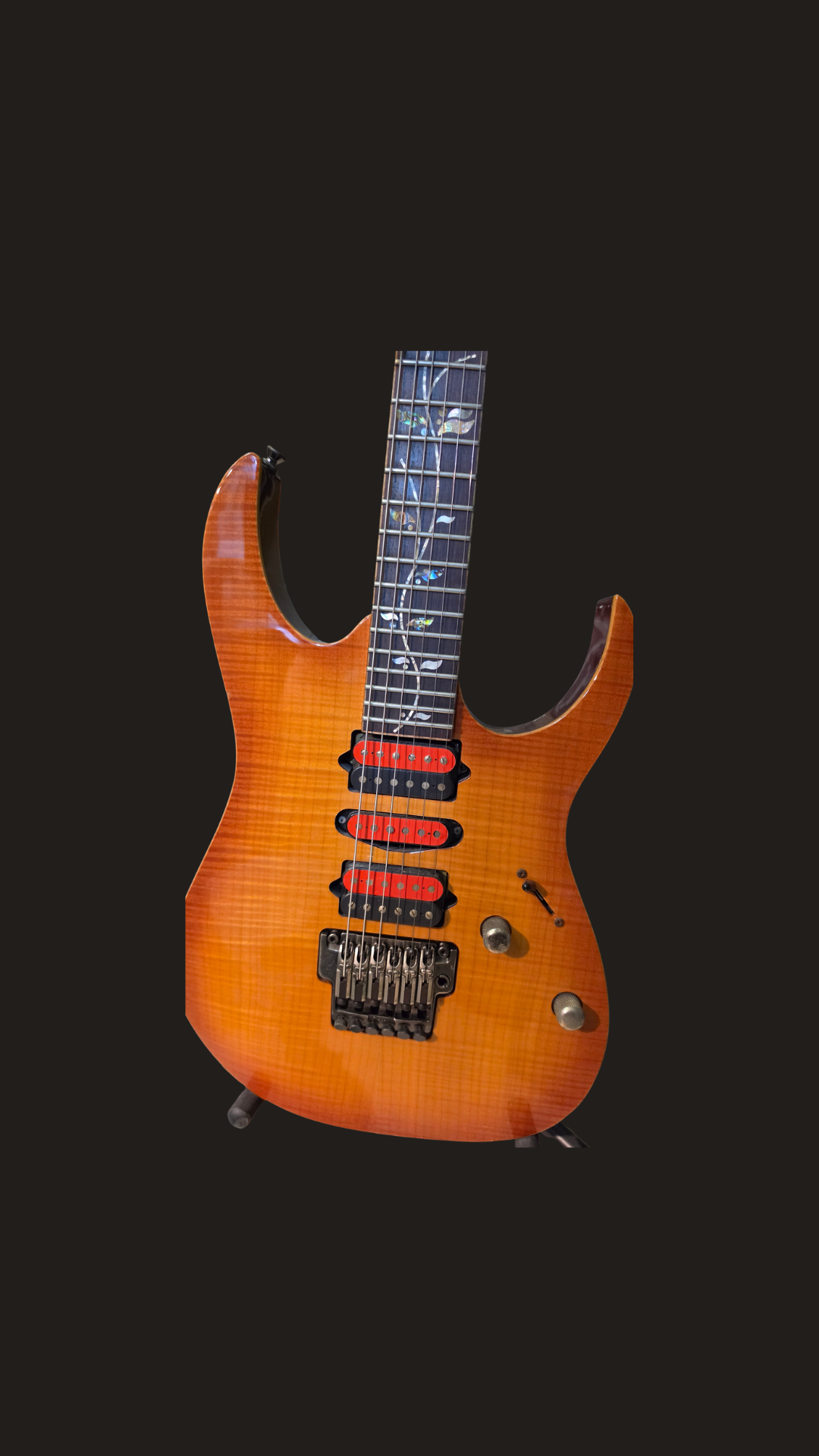 Ibanez Custom RG 8870-BSR
