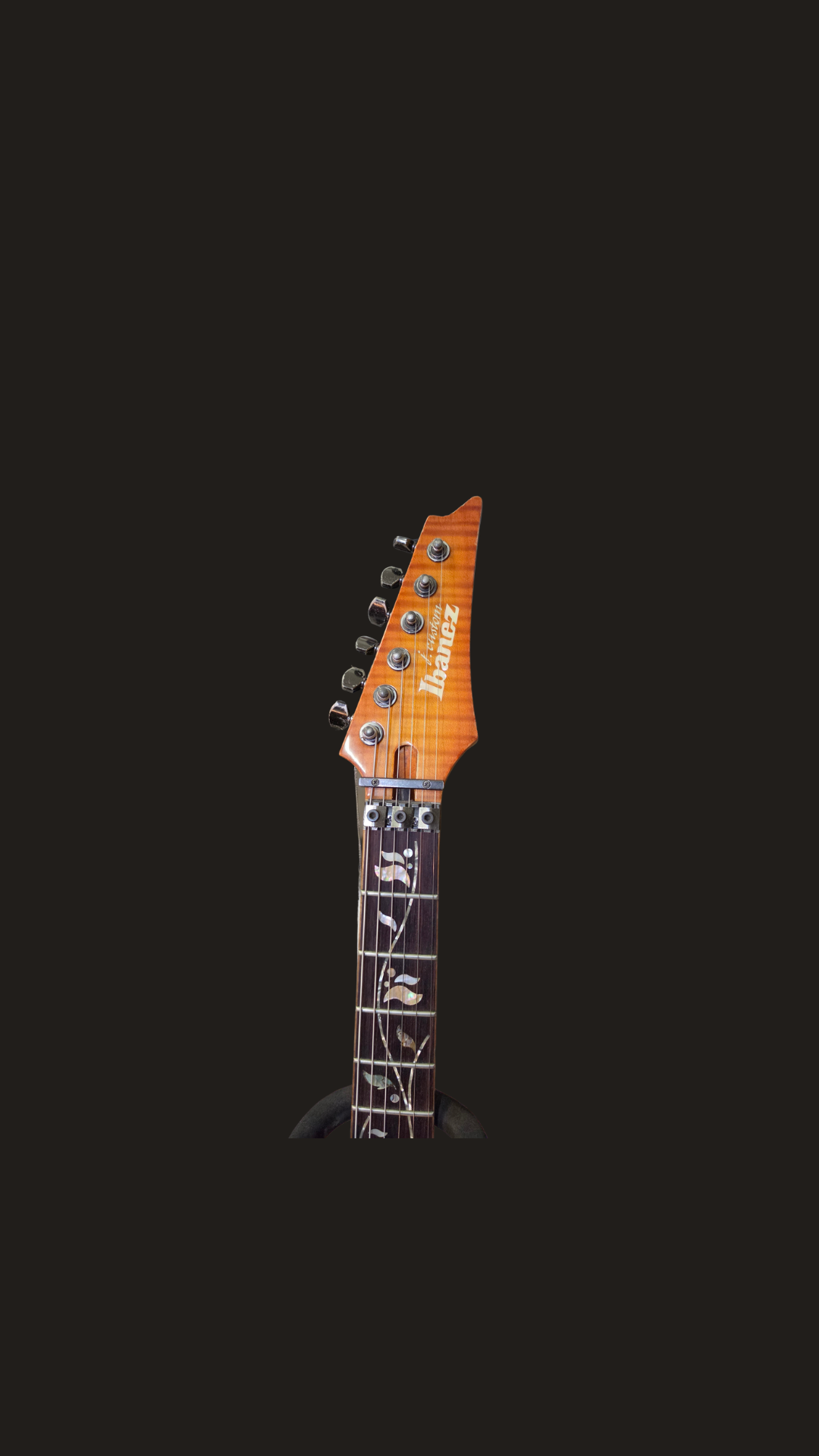 Ibanez Custom RG 8870-BSR