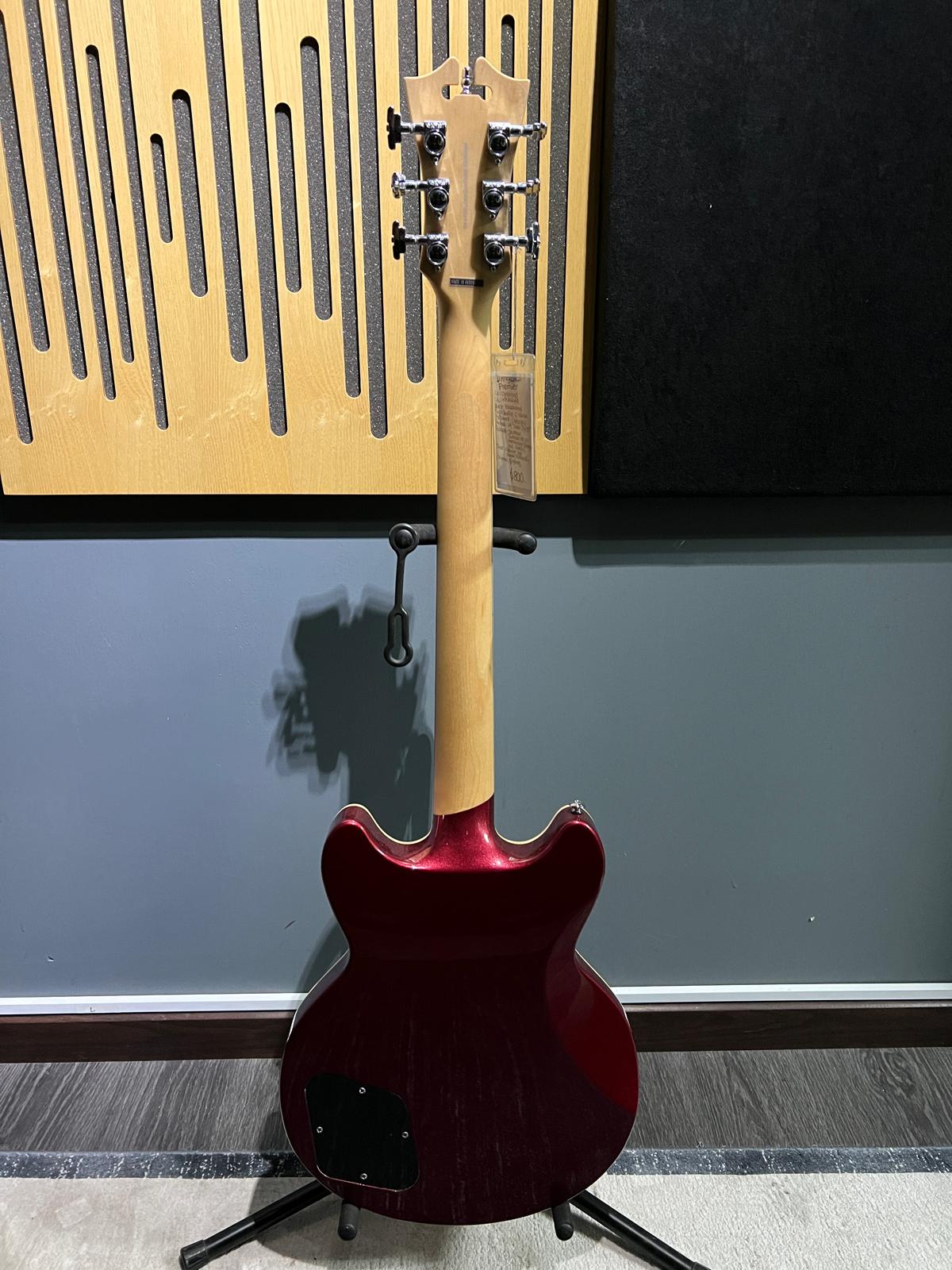D'Angelico premier (used)