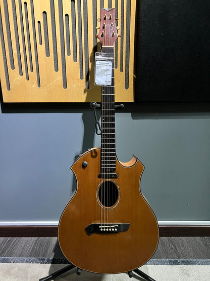 Parker P8EN acoustic/electric (used)