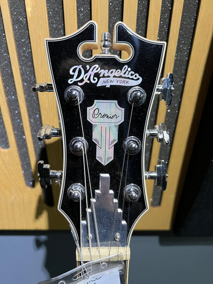 D'Angelico premier (used)