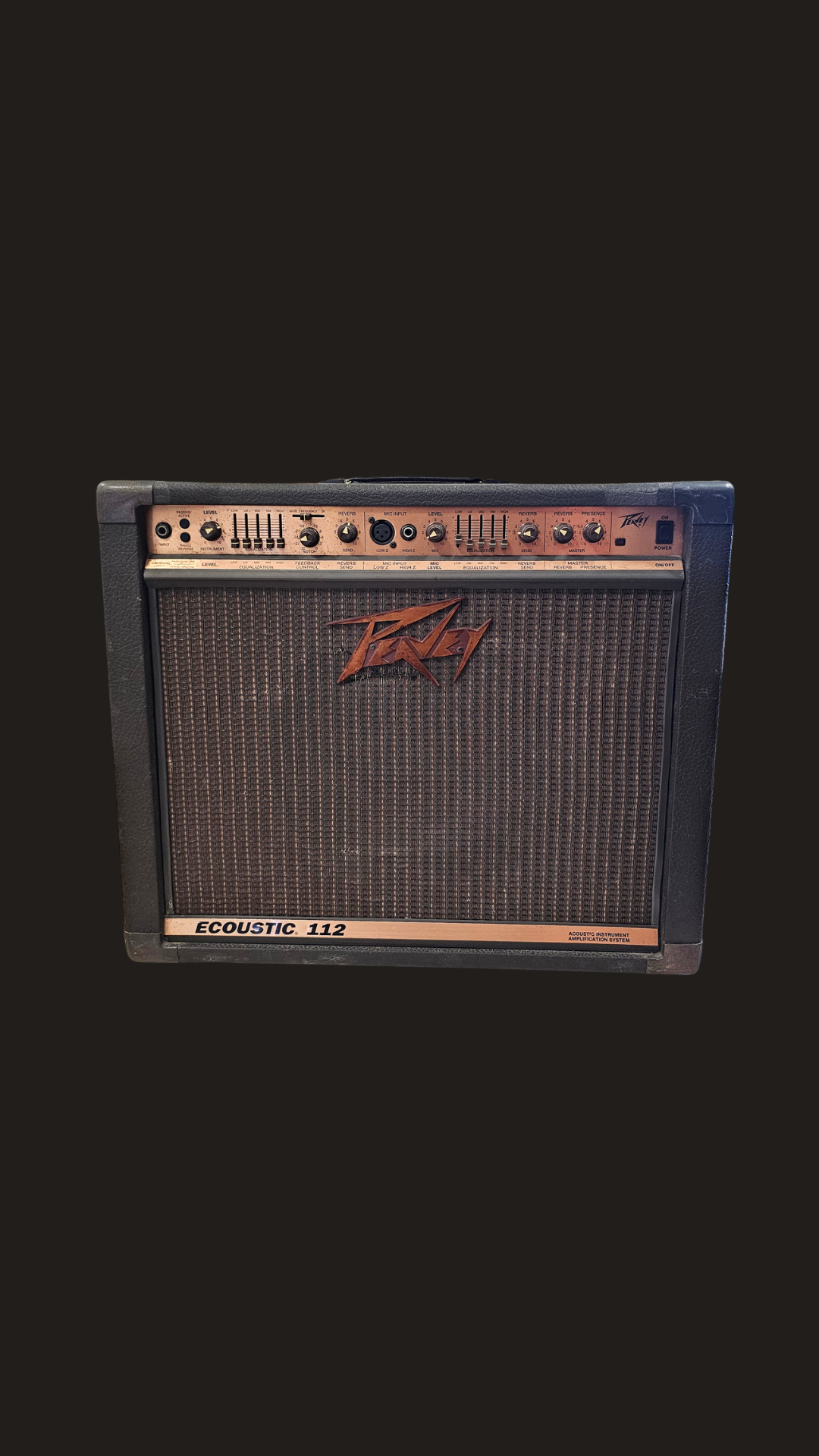 Peavey Ecoustic 112 Acoustic Instrument Amplifier