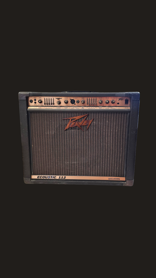 Peavey Ecoustic 112 Acoustic Instrument Amplifier