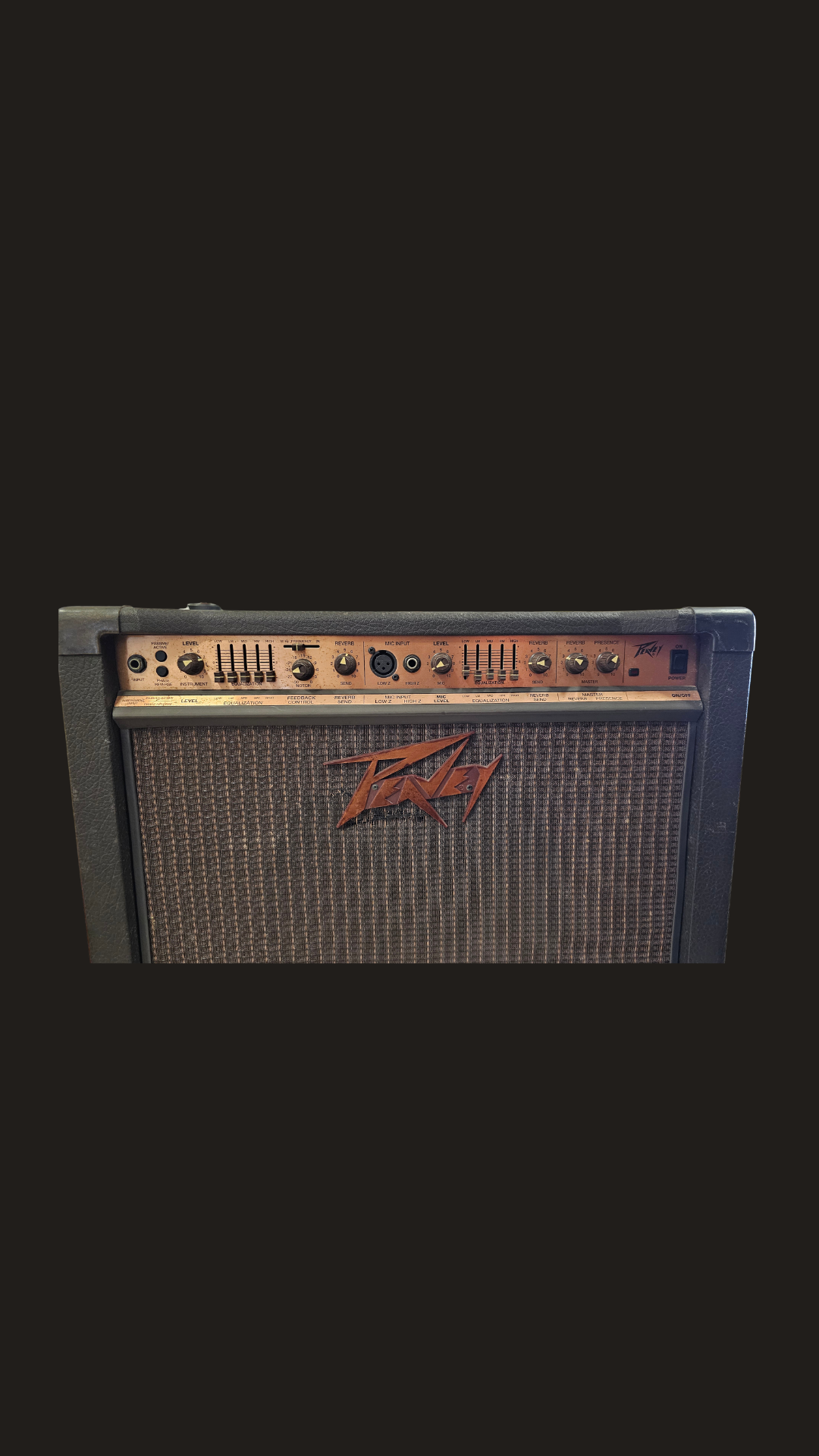 Peavey Ecoustic 112 Acoustic Instrument Amplifier