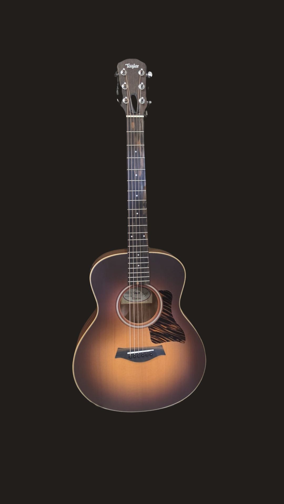 Taylor GS-Mini-e Rosewood SB model