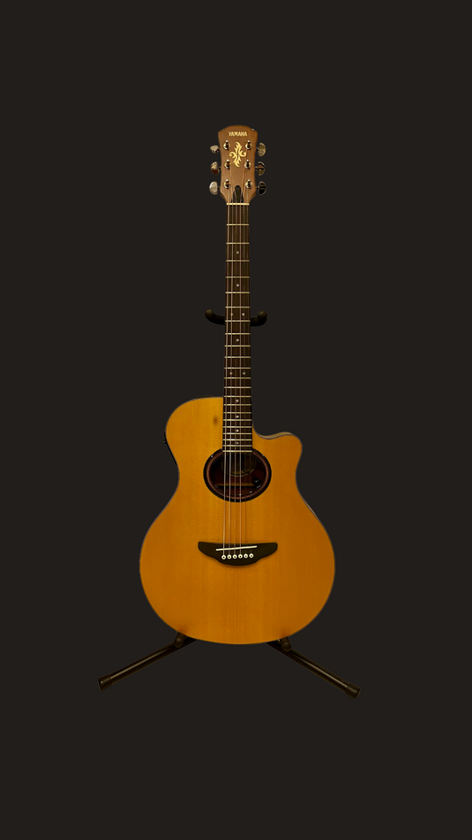 Yamaha APX-3M (used)